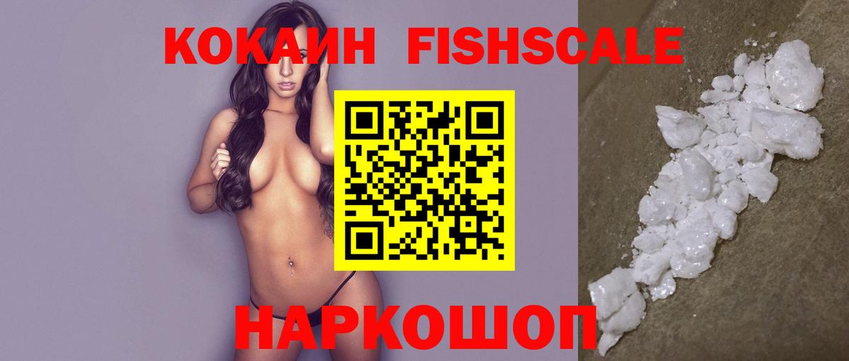 Смоленск  COCAIN Fish Scale  Вход с VPN  COCAIN Эквадор 