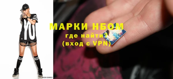 молекула духа Новокубанск