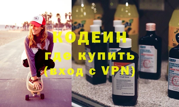сатива Сатка