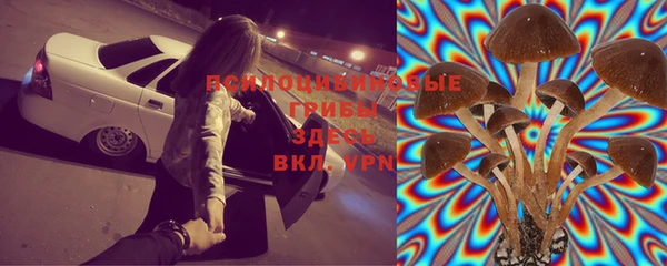 круглые Новодвинск