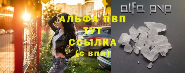 дмт Нея