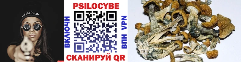 MEGA tor  Смоленск  Псилоцибиновые грибы Cubensis 