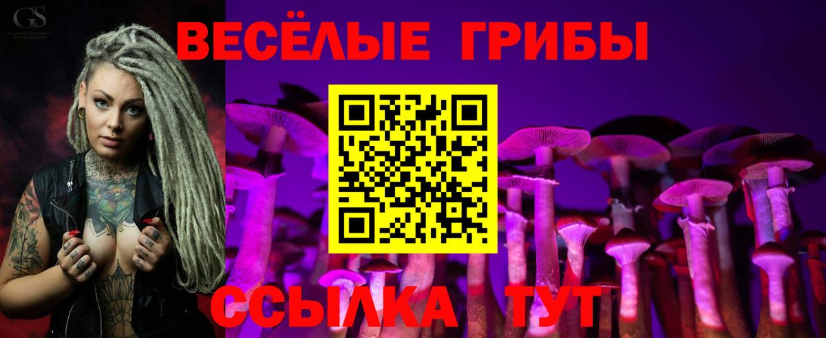 Псилоцибиновые грибы мухоморы Смоленск