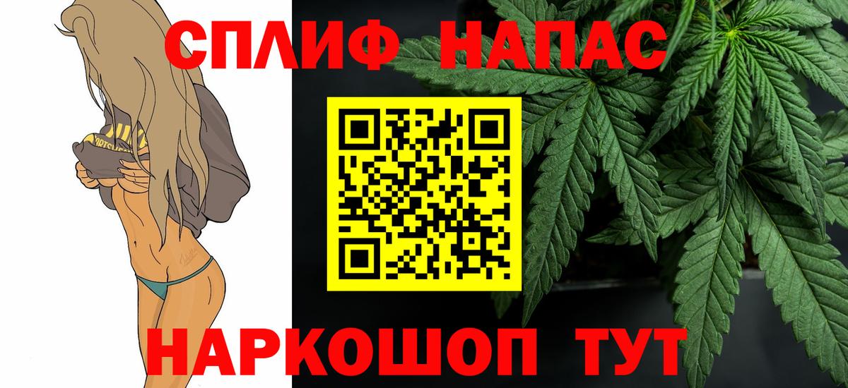 Канабис сатива Смоленск